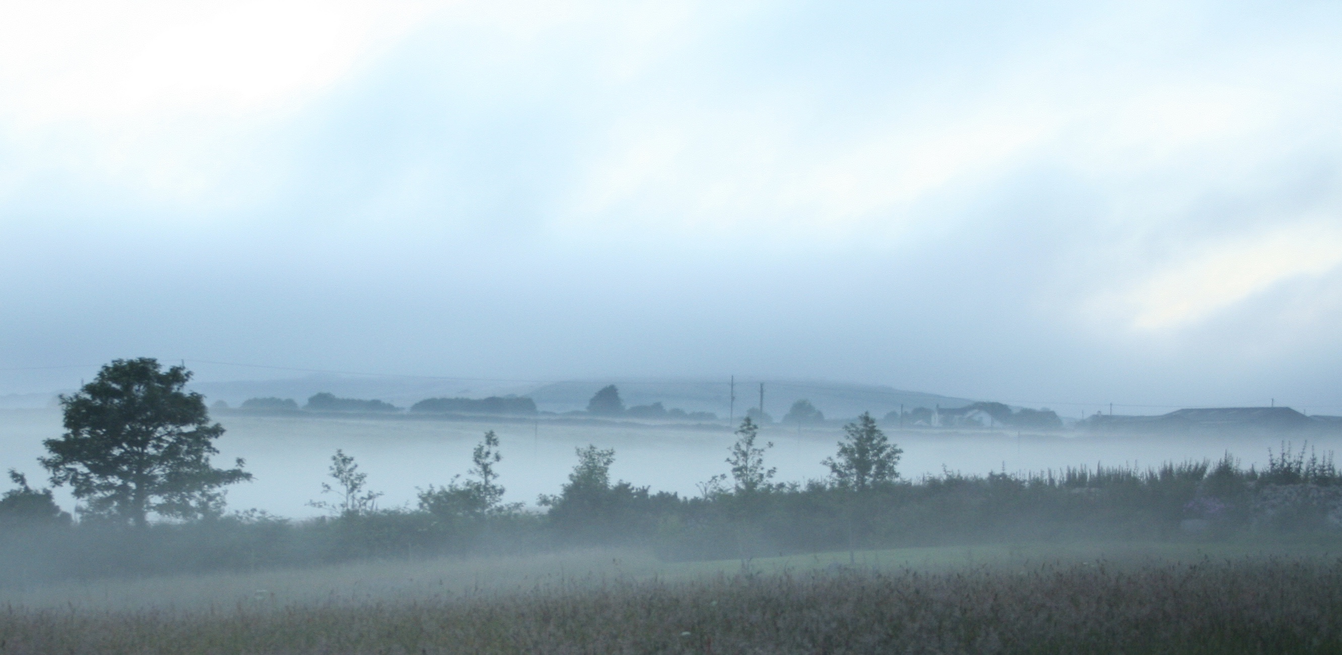 Mist at dawn