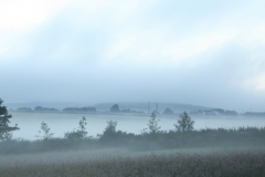Mist at dawn